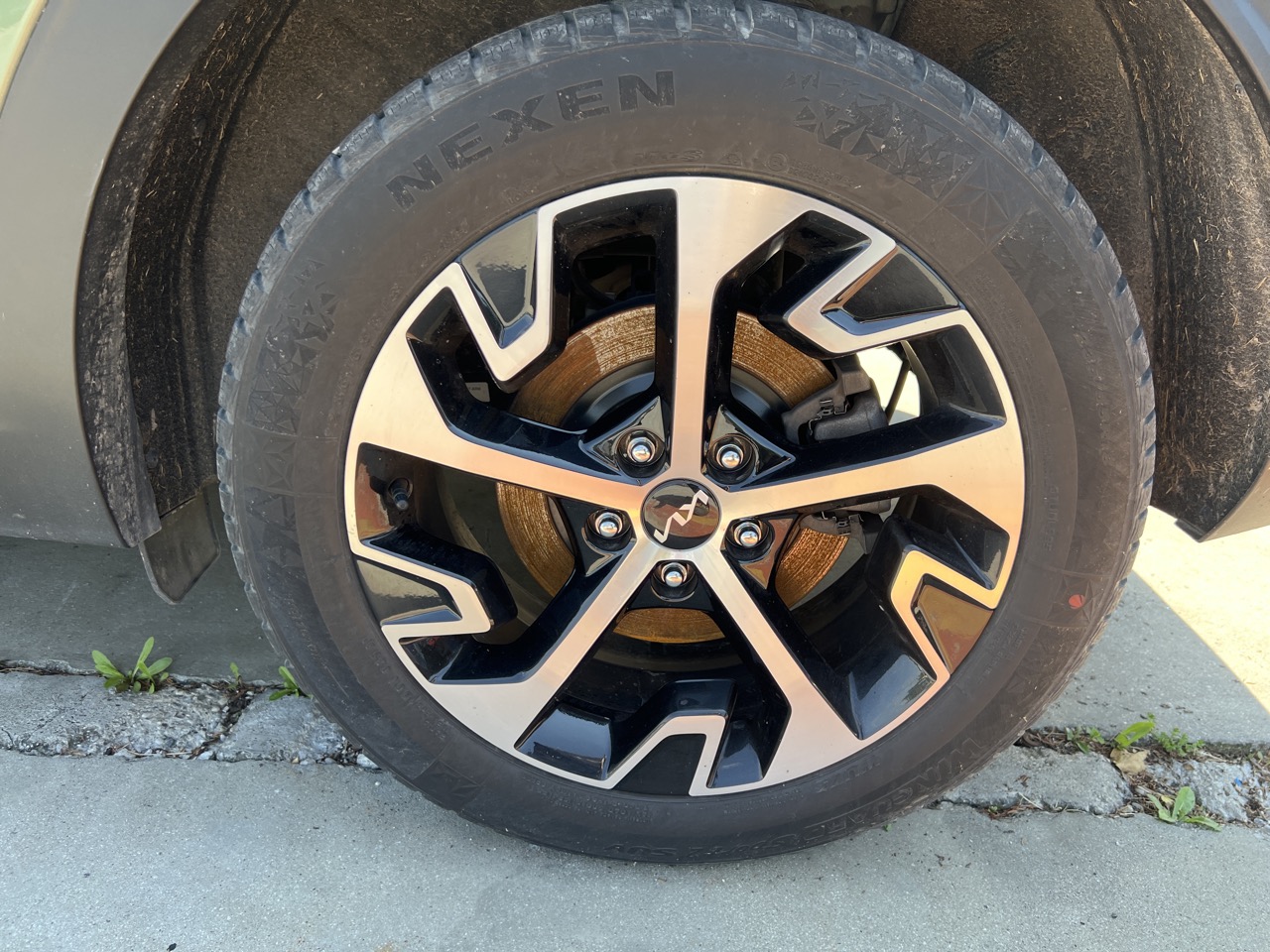 Kia Sportage V 1.6 CRDi mHEV (NQ5)