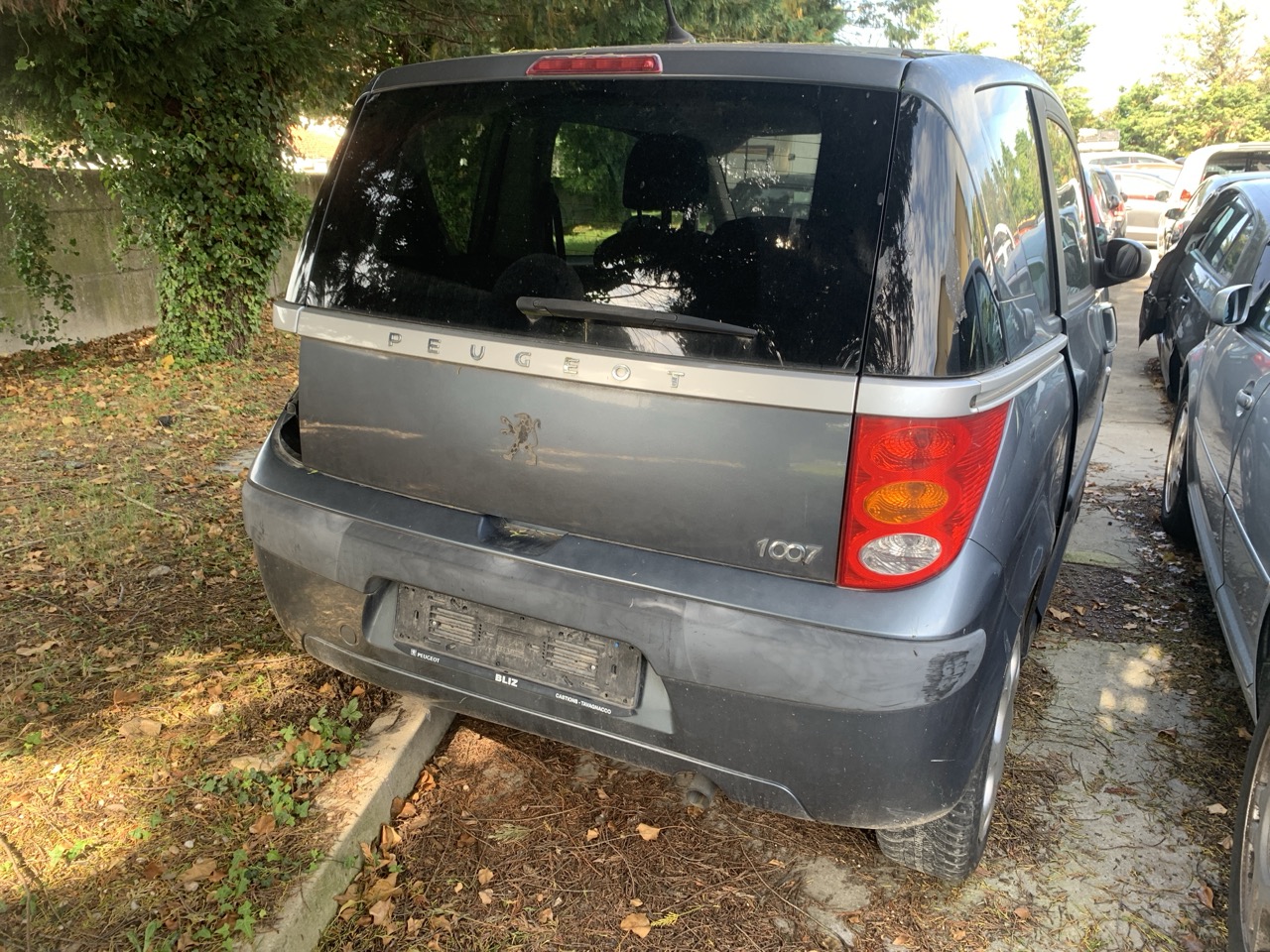Peugeot 1007 1,4 (KM)