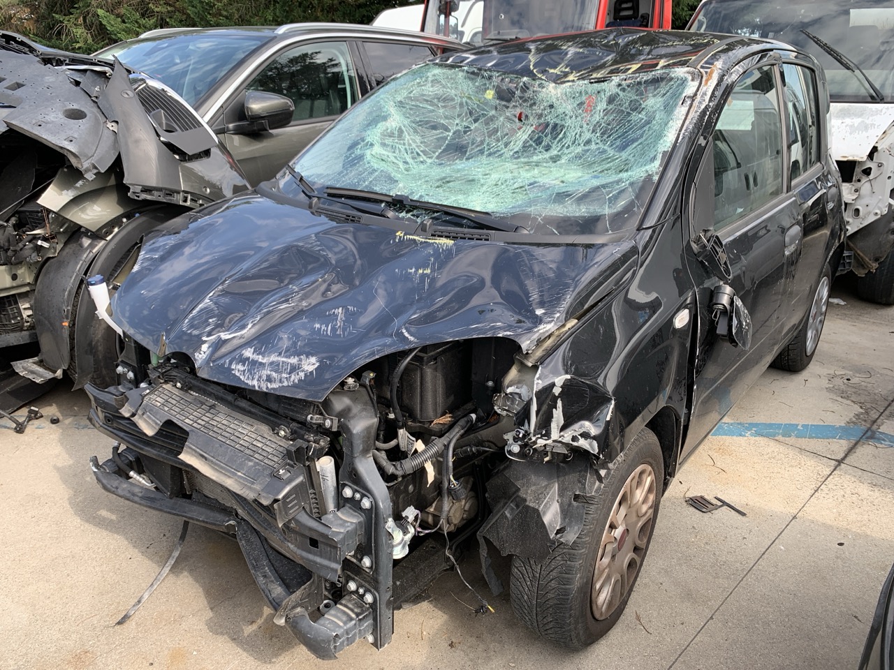 Fiat Panda 1.0 Mild Hybrid (312, 319)